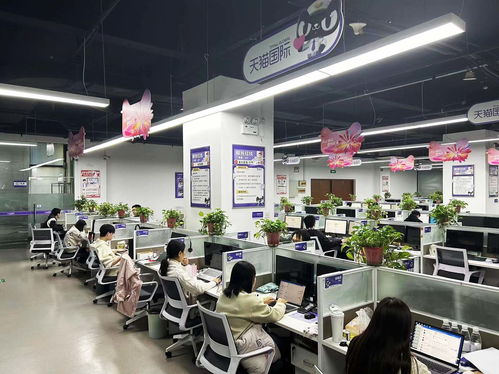 揚(yáng)州天貓國際自營服務(wù)中心迎咨詢高峰，300名大學(xué)生支援客服工作
